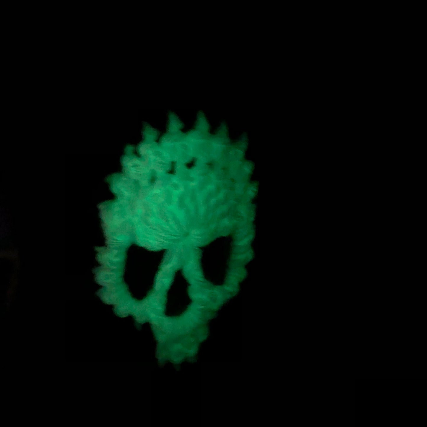 Glow-In-The-Dark Skull Steering Wheel Cover!